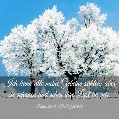 Picture 03 - Psalm 22:17 LUTH1912 - Ich kann alle meine Gebeine zählen; aber sie - Bible Verse Picture
