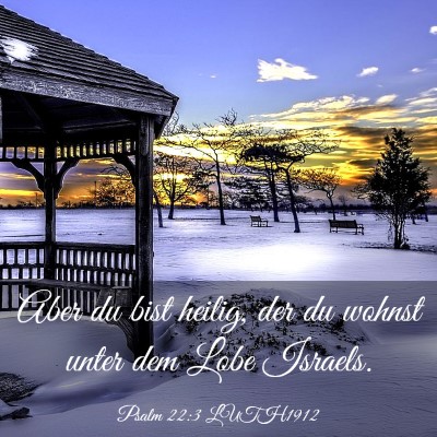 Picture 03 - Psalm 22:3 LUTH1912 - Aber du bist heilig, der du wohnst unter dem Lobe - Bible Verse Picture