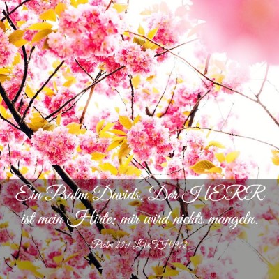 Picture 03 - Psalm 23:1 LUTH1912 - Ein Psalm Davids. Der HERR ist mein Hirte; mir - Bible Verse Picture