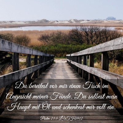 Picture 03 - Psalm 23:5 LUTH1912 - Du bereitest vor mir einen Tisch im Angesicht - Bible Verse Picture