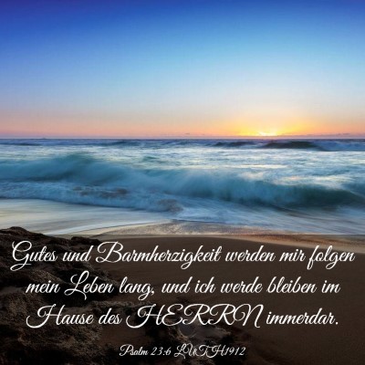 Picture 03 - Psalm 23:6 LUTH1912 - Gutes und Barmherzigkeit werden mir folgen mein - Bible Verse Picture
