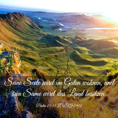 Picture 03 - Psalm 25:13 LUTH1912 - Seine Seele wird im Guten wohnen, und sein Same - Bible Verse Picture