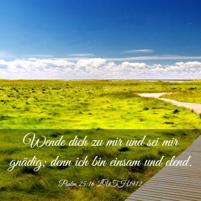 Picture 03 - Psalm 25:16 LUTH1912 - Wende dich zu mir und sei mir gnädig; denn ich - Bible Verse Picture