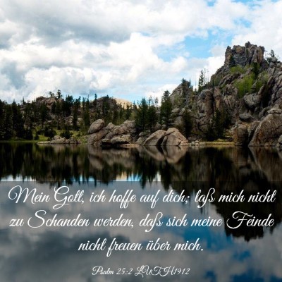 Picture 03 - Psalm 25:2 LUTH1912 - Mein Gott, ich hoffe auf dich; laß mich nicht zu - Bible Verse Picture