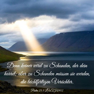 Picture 03 - Psalm 25:3 LUTH1912 - Denn keiner wird zu Schanden, der dein harret; - Bible Verse Picture