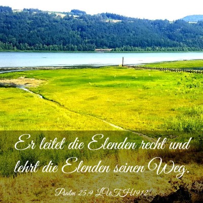 Picture 03 - Psalm 25:9 LUTH1912 - Er leitet die Elenden recht und lehrt die Elenden - Bible Verse Picture