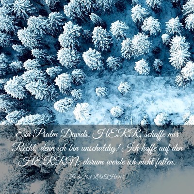 Picture 03 - Psalm 26:1 LUTH1912 - Ein Psalm Davids. HERR, schaffe mir Recht; denn - Bible Verse Picture