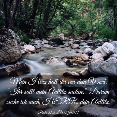 Picture 03 - Psalm 27:8 LUTH1912 - Mein Herz hält dir vor dein Wort: “Ihr sollt - Bible Verse Picture
