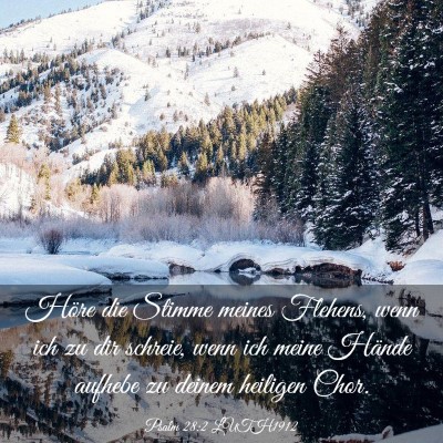 Picture 03 - Psalm 28:2 LUTH1912 - Höre die Stimme meines Flehens, wenn ich zu dir - Bible Verse Picture