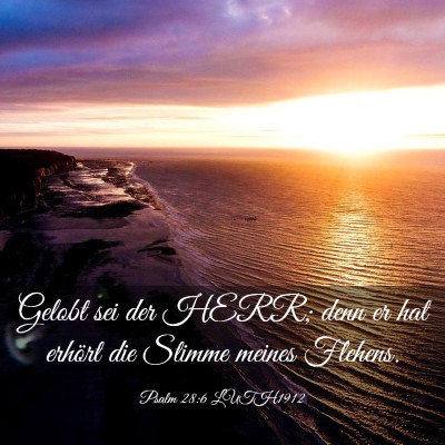 Picture 03 - Psalm 28:6 LUTH1912 - Gelobt sei der HERR; denn er hat erhört die - Bible Verse Picture