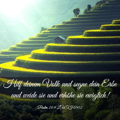 Picture 03 - Psalm 28:9 LUTH1912 - Hilf deinem Volk und segne dein Erbe und weide - Bible Verse Picture