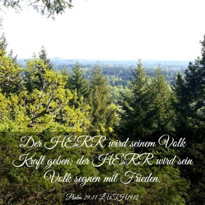 Picture 03 - Psalm 29:11 LUTH1912 - Der HERR wird seinem Volk Kraft geben; der HERR - Bible Verse Picture