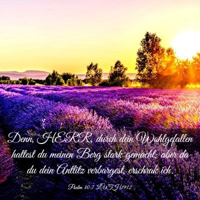 Picture 03 - Psalm 30:7 LUTH1912 - Denn, HERR, durch dein Wohlgefallen hattest du - Bible Verse Picture