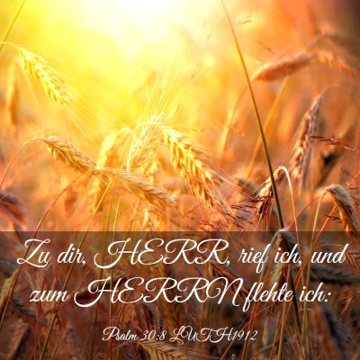Picture 03 - Psalm 30:8 LUTH1912 - Zu dir, HERR, rief ich, und zum HERRN flehte - Bible Verse Picture