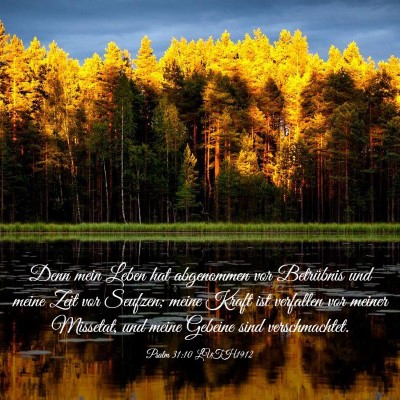 Picture 03 - Psalm 31:10 LUTH1912 - Denn mein Leben hat abgenommen vor Betrübnis und - Bible Verse Picture