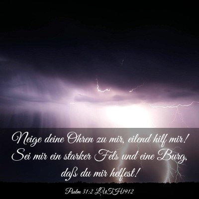 Picture 03 - Psalm 31:2 LUTH1912 - Neige deine Ohren zu mir, eilend hilf mir! Sei - Bible Verse Picture