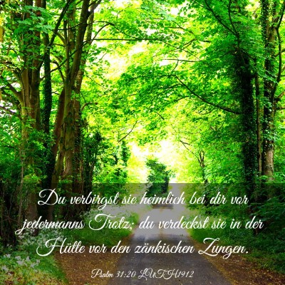 Picture 03 - Psalm 31:20 LUTH1912 - Du verbirgst sie heimlich bei dir vor jedermanns - Bible Verse Picture