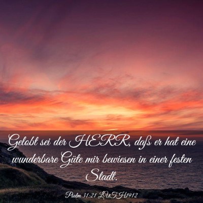 Picture 03 - Psalm 31:21 LUTH1912 - Gelobt sei der HERR, daß er hat eine wunderbare - Bible Verse Picture