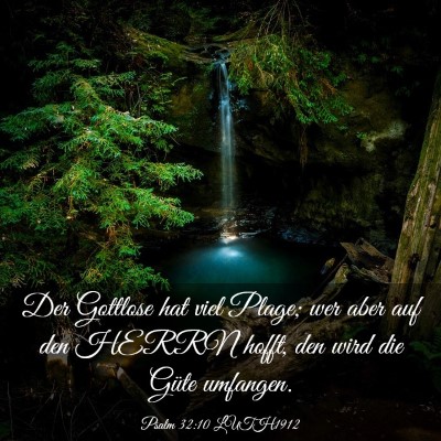 Picture 03 - Psalm 32:10 LUTH1912 - Der Gottlose hat viel Plage; wer aber auf den - Bible Verse Picture