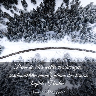Picture 03 - Psalm 32:3 LUTH1912 - Denn da ich's wollte verschweigen, - Bible Verse Picture