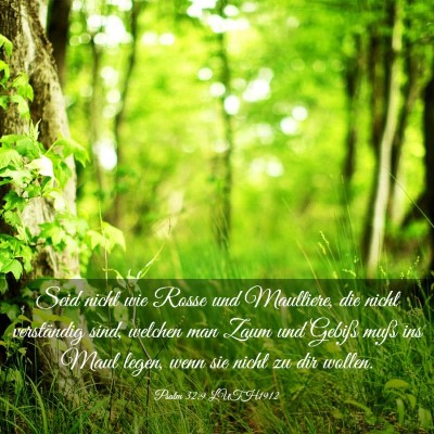 Picture 03 - Psalm 32:9 LUTH1912 - Seid nicht wie Rosse und Maultiere, die nicht - Bible Verse Picture