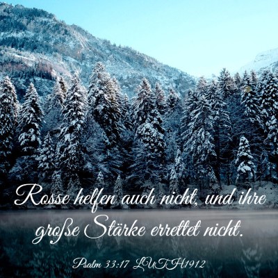 Picture 03 - Psalm 33:17 LUTH1912 - Rosse helfen auch nicht, und ihre große Stärke - Bible Verse Picture