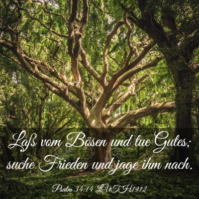 Picture 03 - Psalm 34:14 LUTH1912 - Laß vom Bösen und tue Gutes; suche Frieden und - Bible Verse Picture