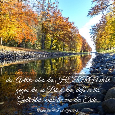 Picture 03 - Psalm 34:16 LUTH1912 - das Antlitz aber des HERRN steht gegen die, so - Bible Verse Picture
