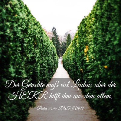 Picture 03 - Psalm 34:19 LUTH1912 - Der Gerechte muß viel Leiden; aber der HERR - Bible Verse Picture