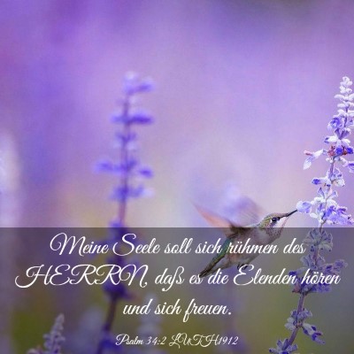 Picture 03 - Psalm 34:2 LUTH1912 - Meine Seele soll sich rühmen des HERRN, daß es - Bible Verse Picture