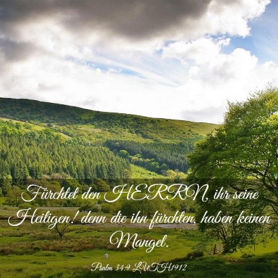 Picture 03 - Psalm 34:9 LUTH1912 - Fürchtet den HERRN, ihr seine Heiligen! denn die - Bible Verse Picture