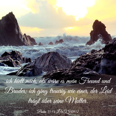 Picture 03 - Psalm 35:14 LUTH1912 - ich hielt mich, als wäre es mein Freund und - Bible Verse Picture