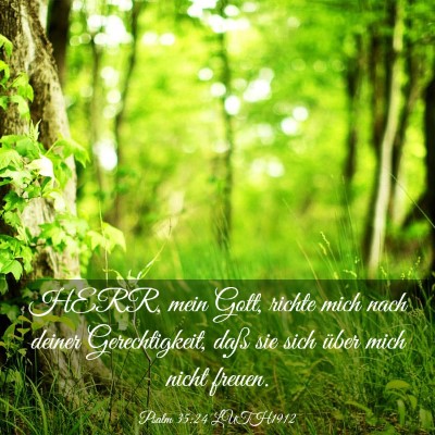 Picture 03 - Psalm 35:24 LUTH1912 - HERR, mein Gott, richte mich nach deiner - Bible Verse Picture