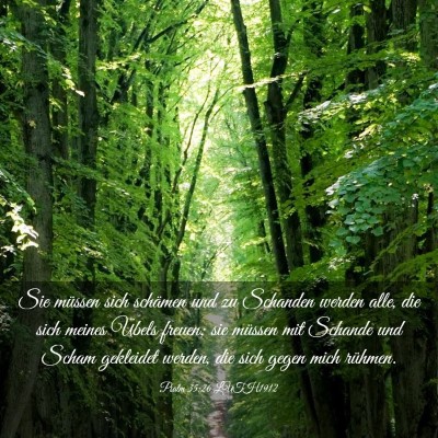 Picture 03 - Psalm 35:26 LUTH1912 - Sie müssen sich schämen und zu Schanden werden - Bible Verse Picture
