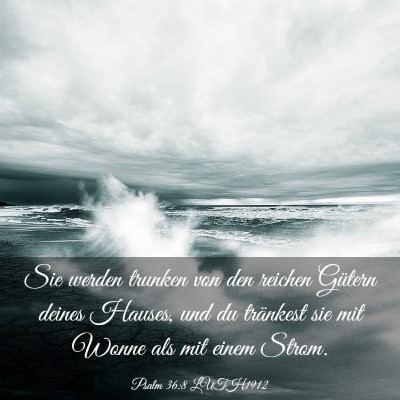 Picture 03 - Psalm 36:8 LUTH1912 - Sie werden trunken von den reichen Gütern deines - Bible Verse Picture