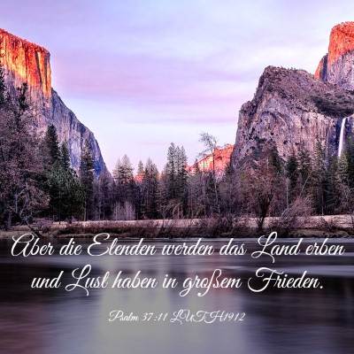 Picture 03 - Psalm 37:11 LUTH1912 - Aber die Elenden werden das Land erben und Lust - Bible Verse Picture