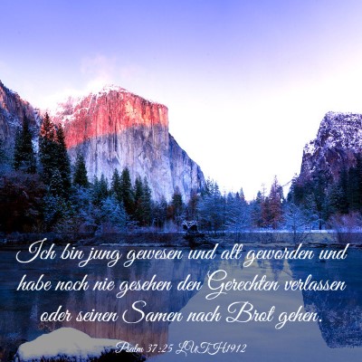 Picture 03 - Psalm 37:25 LUTH1912 - Ich bin jung gewesen und alt geworden und habe - Bible Verse Picture
