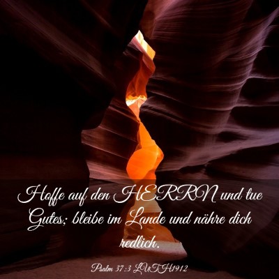 Picture 03 - Psalm 37:3 LUTH1912 - Hoffe auf den HERRN und tue Gutes; bleibe im - Bible Verse Picture