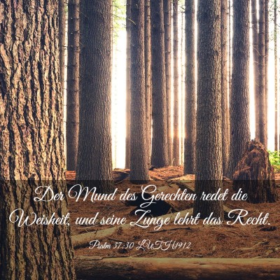 Picture 03 - Psalm 37:30 LUTH1912 - Der Mund des Gerechten redet die Weisheit, und - Bible Verse Picture
