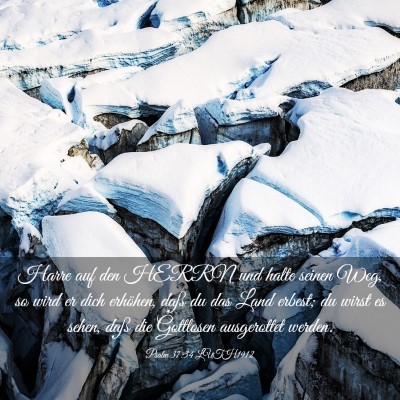 Picture 03 - Psalm 37:34 LUTH1912 - Harre auf den HERRN und halte seinen Weg, so wird - Bible Verse Picture