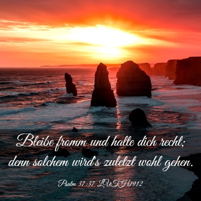 Picture 03 - Psalm 37:37 LUTH1912 - Bleibe fromm und halte dich recht; denn solchem - Bible Verse Picture