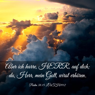 Picture 03 - Psalm 38:15 LUTH1912 - Aber ich harre, HERR, auf dich; du, Herr, mein - Bible Verse Picture