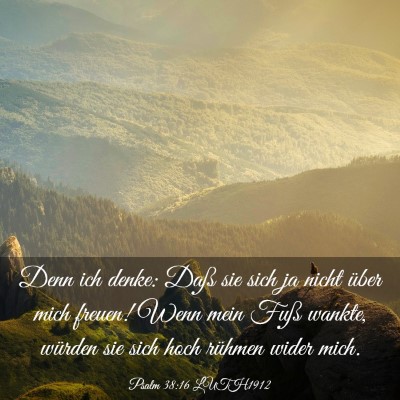Picture 03 - Psalm 38:16 LUTH1912 - Denn ich denke: Daß sie sich ja nicht über mich - Bible Verse Picture