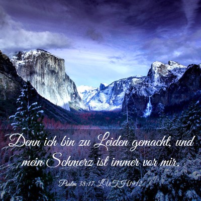 Picture 03 - Psalm 38:17 LUTH1912 - Denn ich bin zu Leiden gemacht, und mein Schmerz - Bible Verse Picture