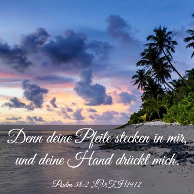 Picture 03 - Psalm 38:2 LUTH1912 - Denn deine Pfeile stecken in mir, und deine Hand - Bible Verse Picture