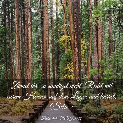 Picture 03 - Psalm 4:4 LUTH1912 - Zürnet ihr, so sündiget nicht. Redet mit eurem - Bible Verse Picture