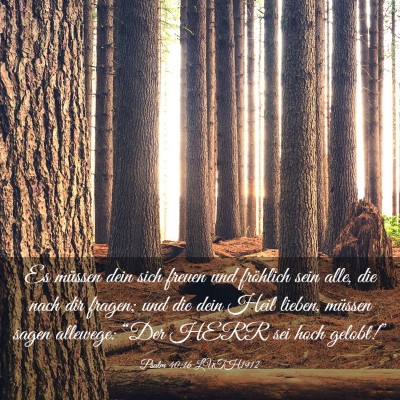 Picture 03 - Psalm 40:16 LUTH1912 - Es müssen dein sich freuen und fröhlich sein - Bible Verse Picture