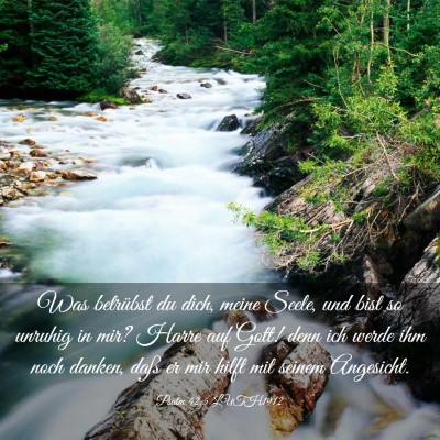 Picture 03 - Psalm 42:5 LUTH1912 - Was betrübst du dich, meine Seele, und bist so - Bible Verse Picture