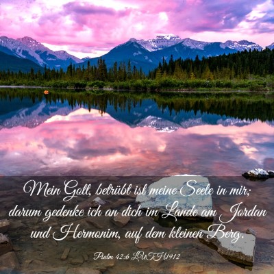 Picture 03 - Psalm 42:6 LUTH1912 - Mein Gott, betrübt ist meine Seele in mir; darum - Bible Verse Picture
