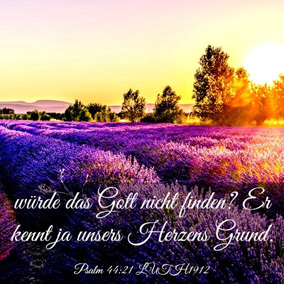Picture 03 - Psalm 44:21 LUTH1912 - würde das Gott nicht finden? Er kennt ja unsers - Bible Verse Picture